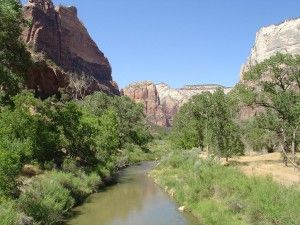 rutas de senderismo Zion National Park